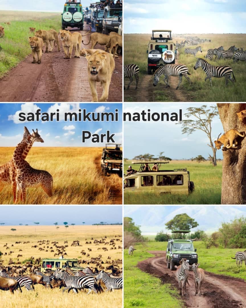 MIKUMI NATIONAL PARK