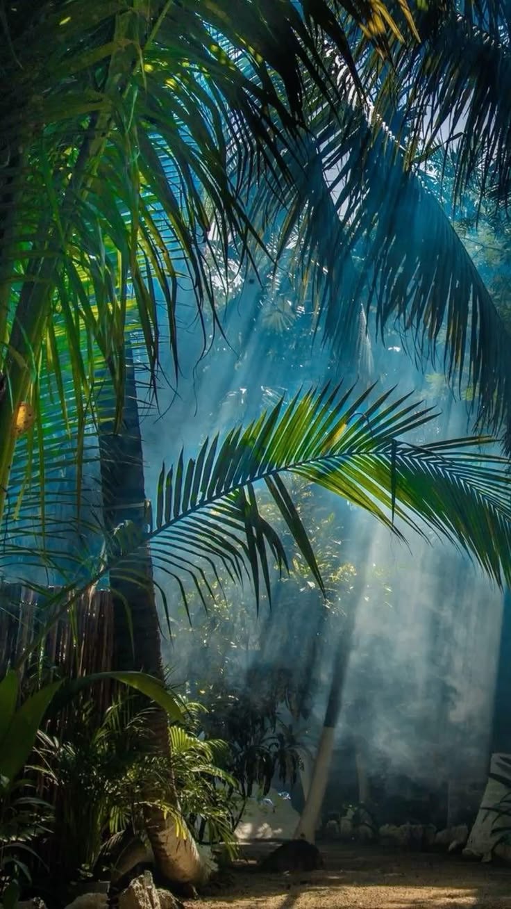 Zanzibar Landscape